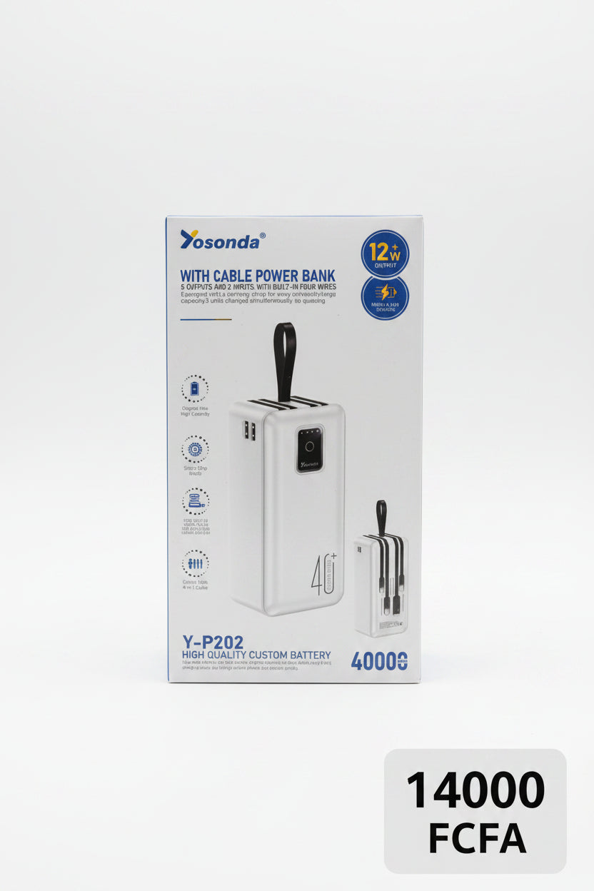 Power Bank